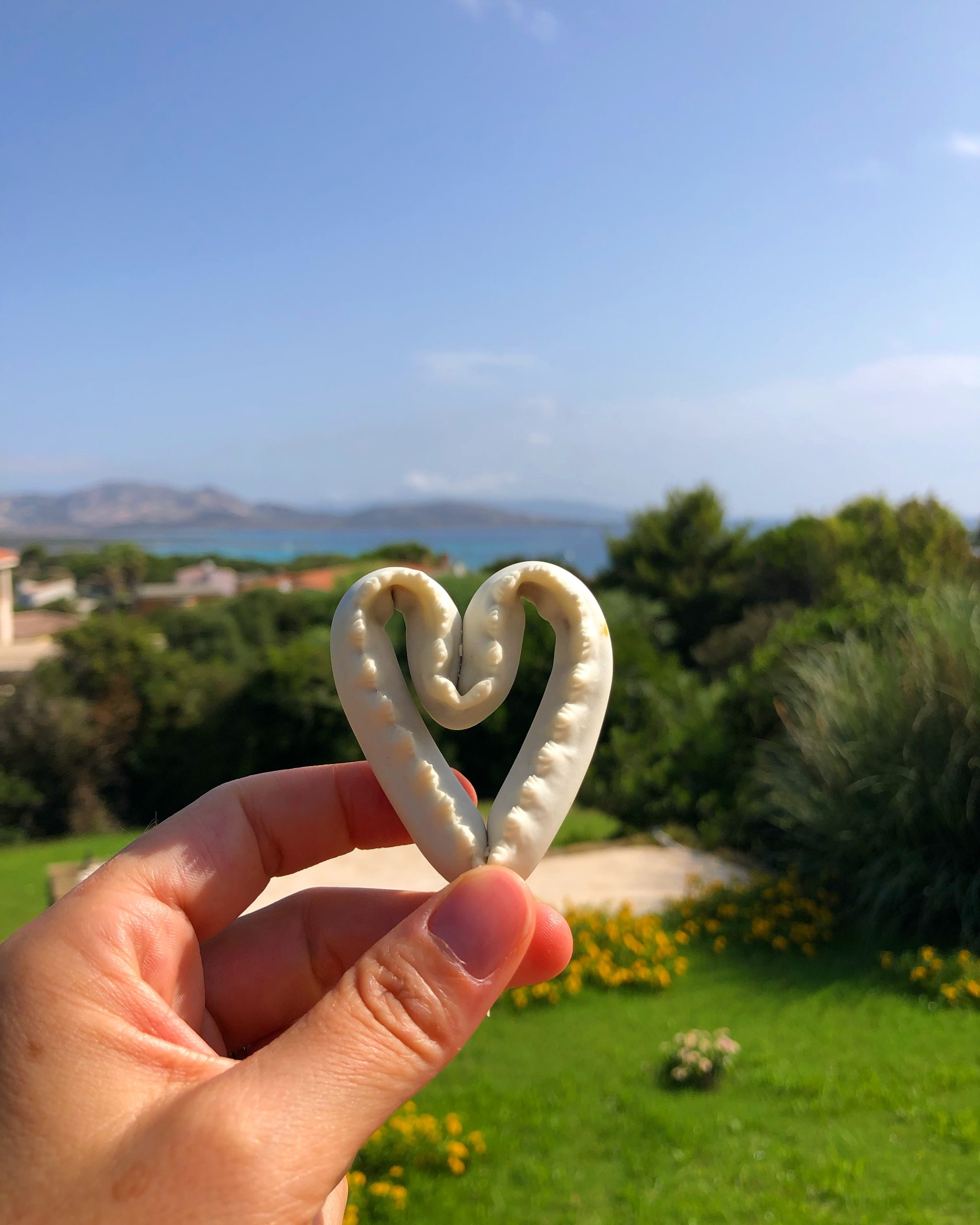 Prodotti del territorio per la colazione del B&B